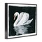 Stupell Industries Beautiful Swan Black Reflection Framed Giclee Art